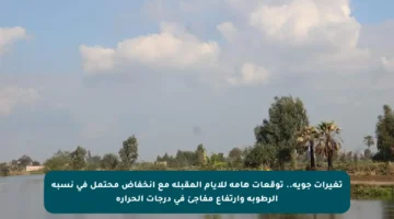 تغيرات جوية.. توقعات هامة للأيام المقبلة مع انخفاض محتمل في نسبة الرطوبة وارتفاع مفاجئ في درجات الحرارة